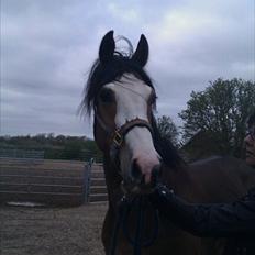 Paint Dunlaps Master Chief <3 