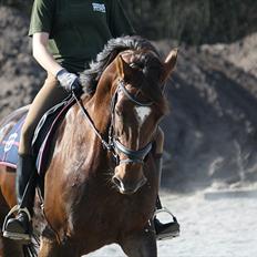 Oldenborg Egelund Nova