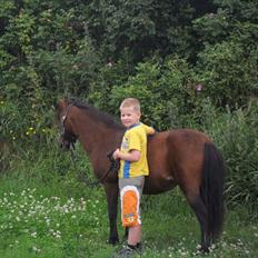 Anden særlig race Mae