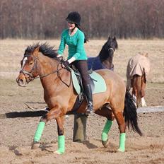 Anden særlig race  Pardo - A Part Of Me! :*