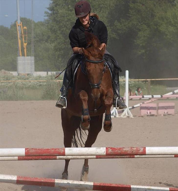 Anden særlig race Rosa  - Mille & Rosa springer :) billede 1
