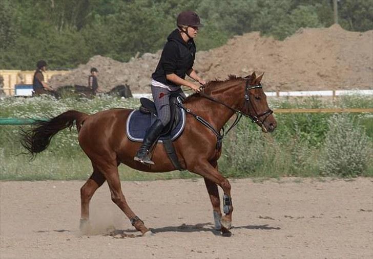 Anden særlig race Rosa  - Mille & Rosa :) billede 9