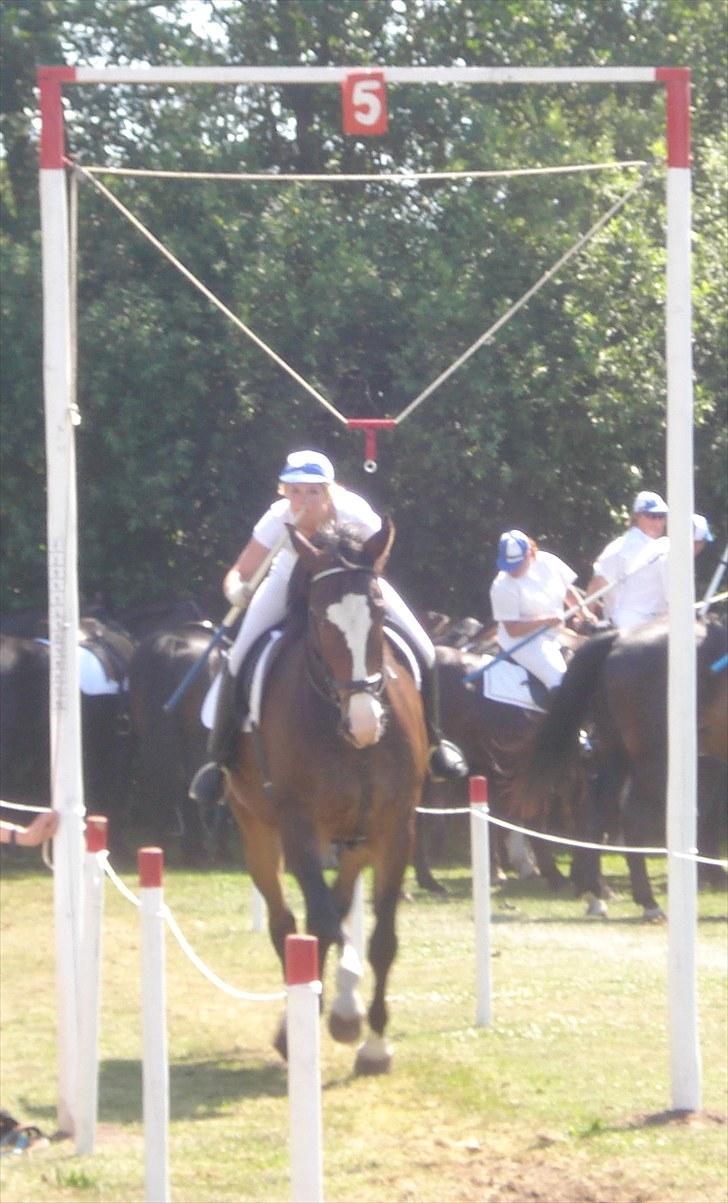 Oldenborg Lucas - mig og lucas til ringridning i arild :D<3 3plads, første gang jeg red ringridning på ham<3 billede 9