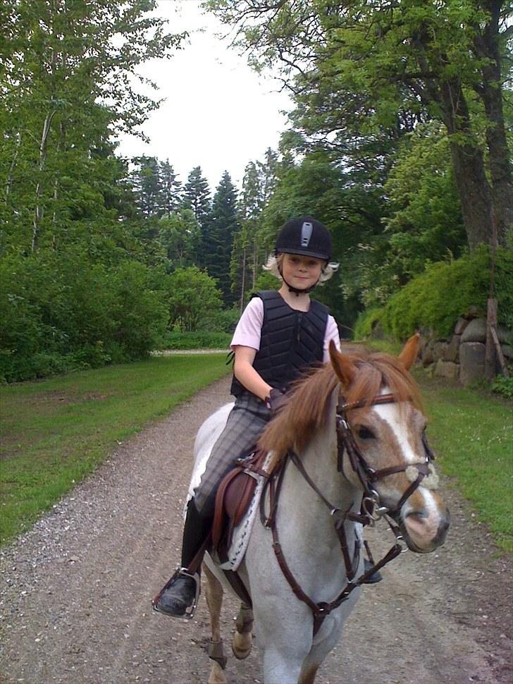 Welsh Pony (sec B) Amanda's Elvera - Vera og mig på skovtur. billede 3