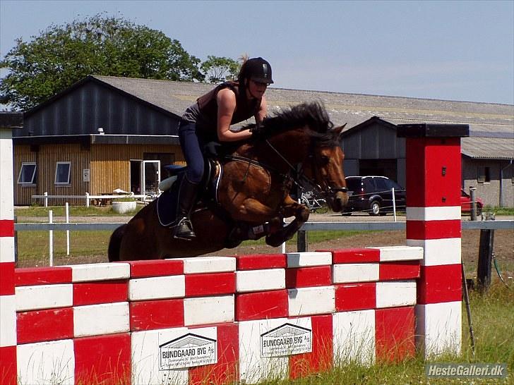 Tysk Sportspony Attila <333 " Solgt :'(" - Her springer mig og Attila 1 meter<3 Min dejlige pony <3 billede 16