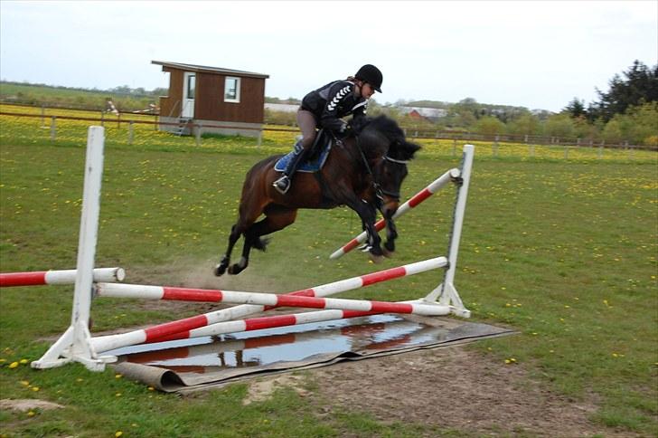Anden særlig race Angelique SOLGT - Vandgrav :D billede 10