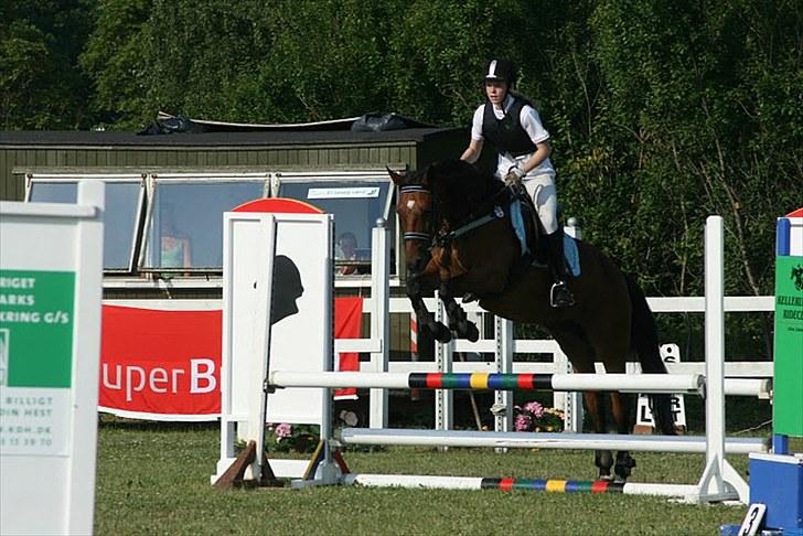 Anden særlig race El Shaklan - Fotograf: Heidi Thorsen billede 18