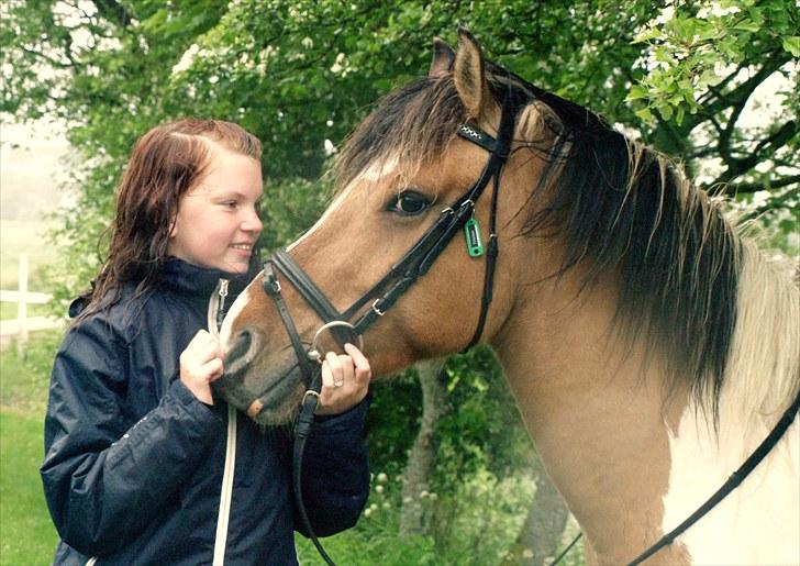 Anden særlig race Tristan ( ´Gammel passer) billede 2