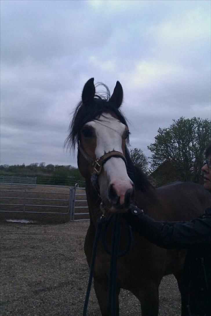 Paint Dunlaps Master Chief <3  billede 2