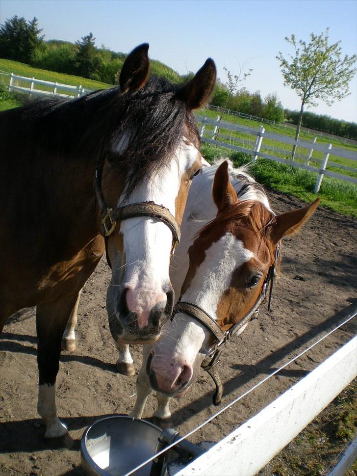 Paint Dunlaps Master Chief <3  billede 4