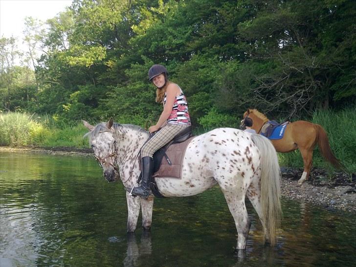 Knabstrupper Flying Vendetta (Bisse$;) - Bisse&jeg på tur, her i vandet!:D <3 billede 13