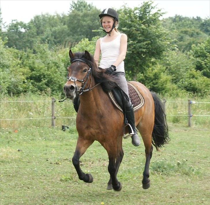 Exmoor Chi Chi  solgt og aldrig glemt   - ~ Fordi man kan jorde afsted på dig <3 billede 14