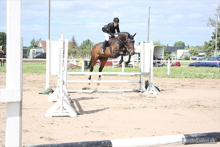 Anden særlig race Tacha af tofthøj mølle.  - Ørsted 13/6 billede 19