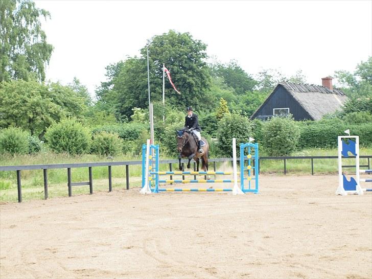 Anden særlig race Tacha af tofthøj mølle.  - Mor og Tacha Gl.estrup rideklub første stævne (: vandt 5.plads i LD billede 20