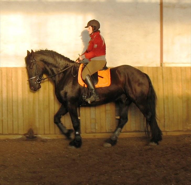 Frieser Quinzi - Mig & Quinzi - april 2010  billede 12