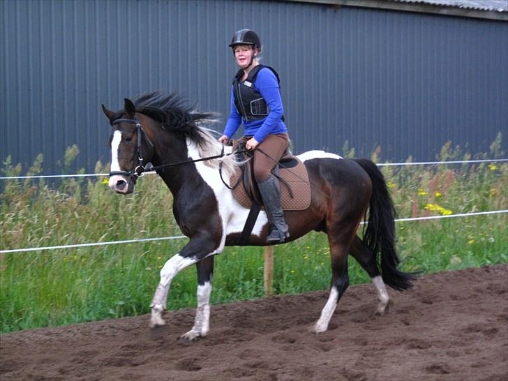 Anden særlig race Little claud junior *Red* billede 15