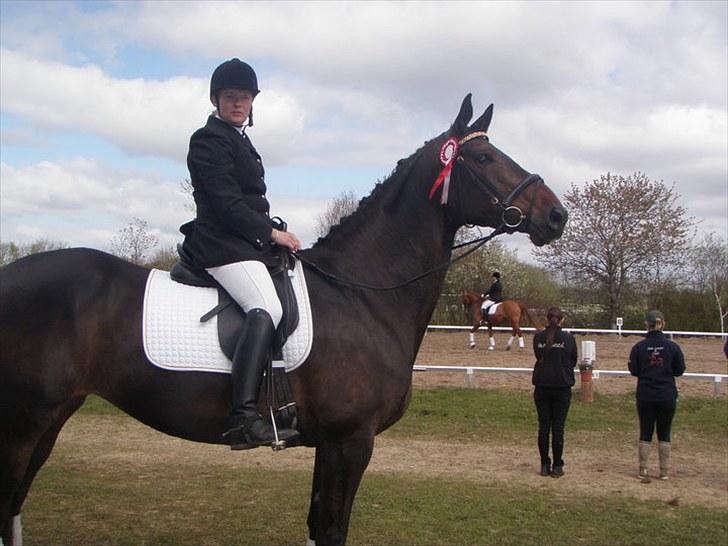 Dansk Varmblod Travella - [9] Stævne i Helle - 1plads, LB2. billede 9