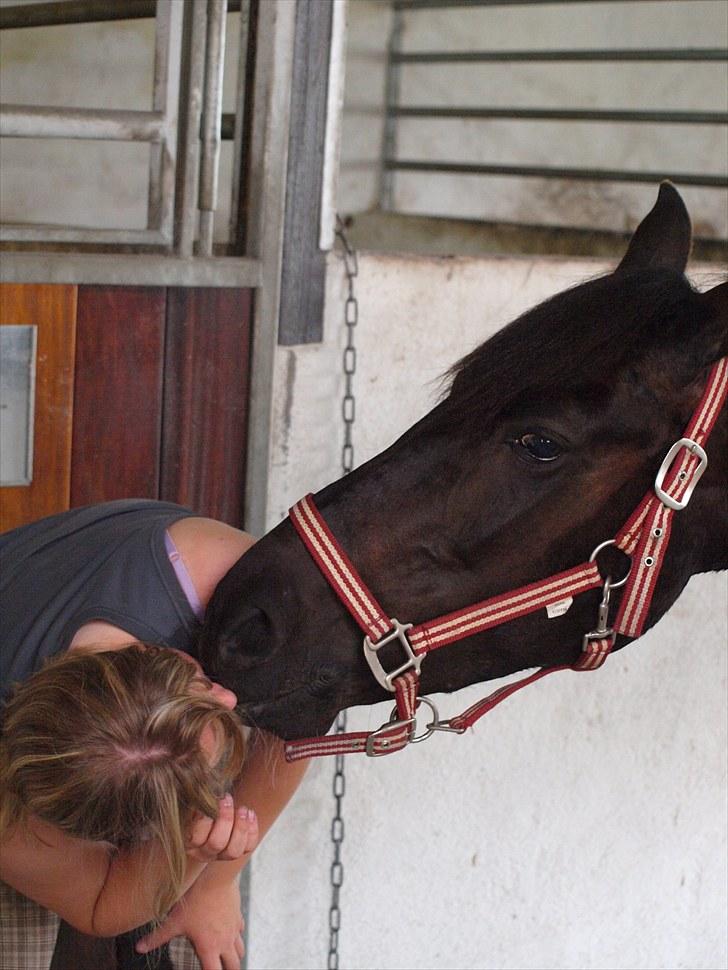Anden særlig race Lundgaards Pocahontas  - 4. Kysse hesten :D Foto: KK billede 4