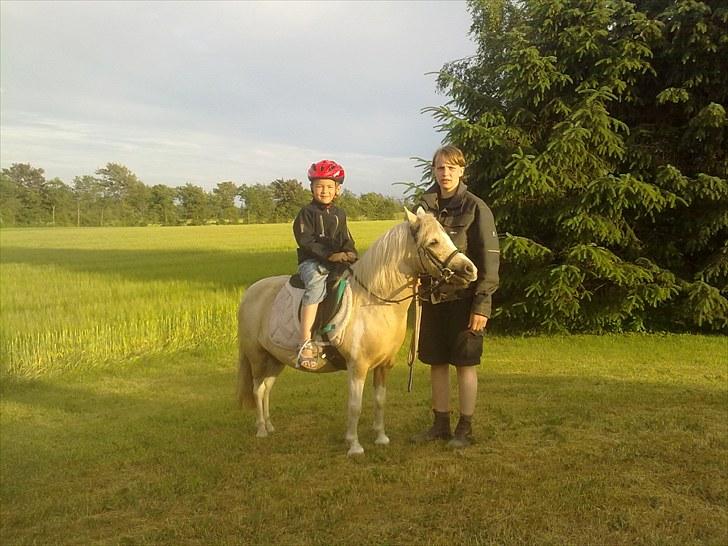 Anden særlig race Bella Star billede 9