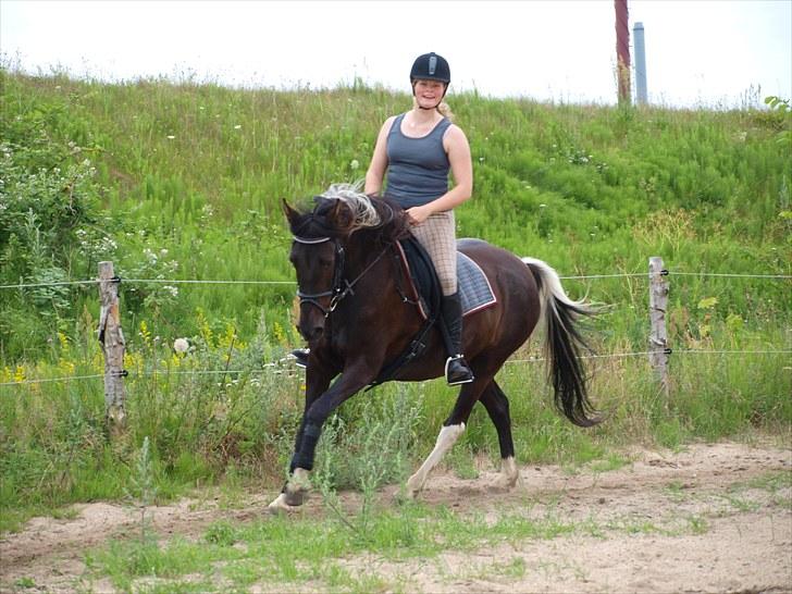 Anden særlig race Lundgaards Pocahontas  - 11. Galop Foto: KK billede 11