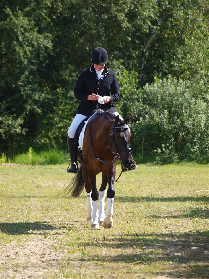 Anden særlig race Lundgaards Pocahontas  - 12. Færdig med programmet BROR  Foto: KK billede 12