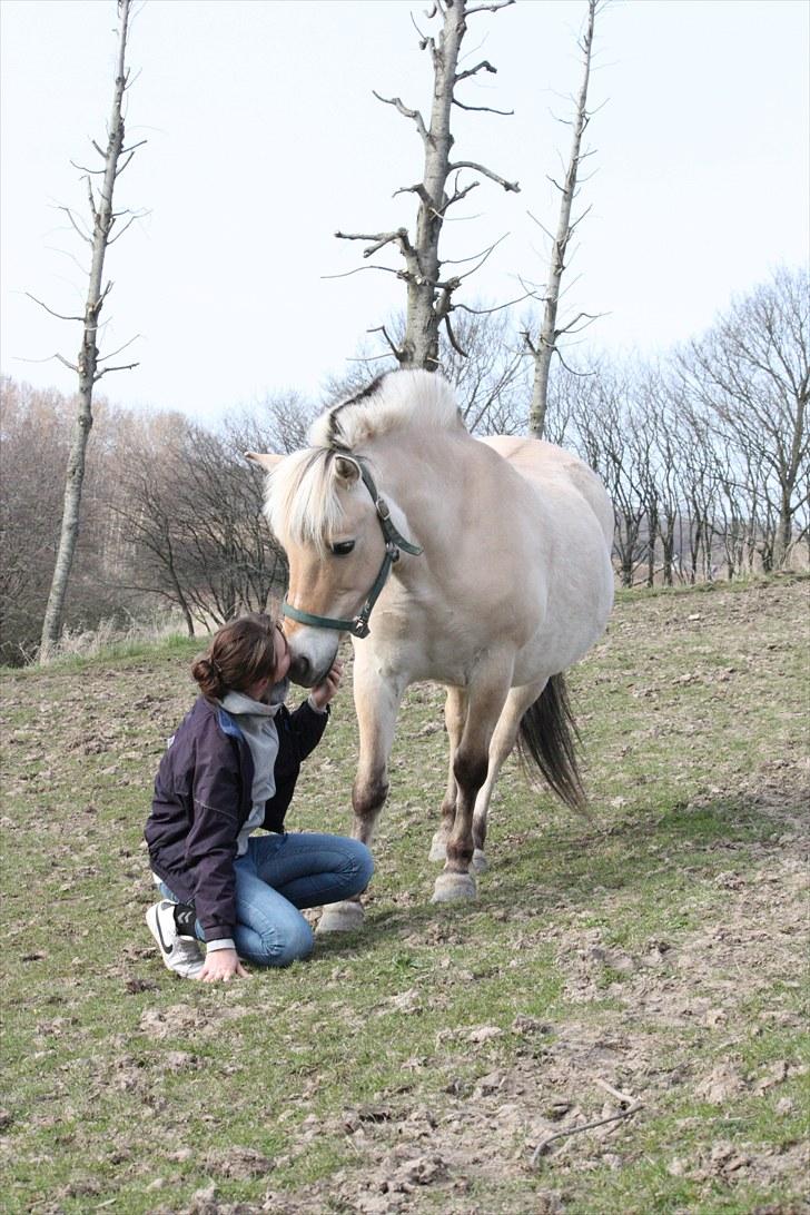 Fjordhest Beinta - Laura og Beinta på folden :D billede 17