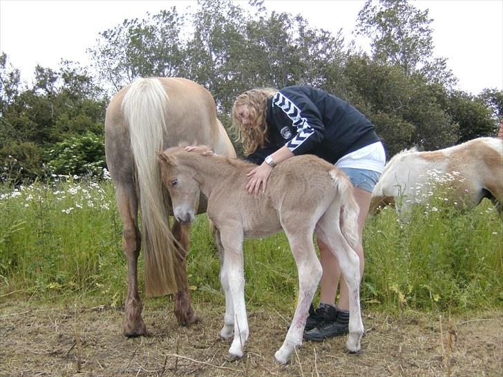 Anden særlig race Sacho - D. 12. juli 2010 - Sacho 1 dag gammel billede 18