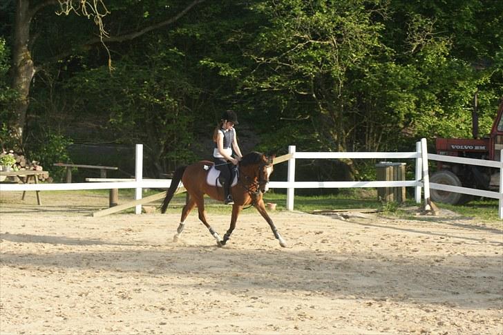 DSP Emilia's Grevenrit  - 20) Opvarming til undervisning billede 20