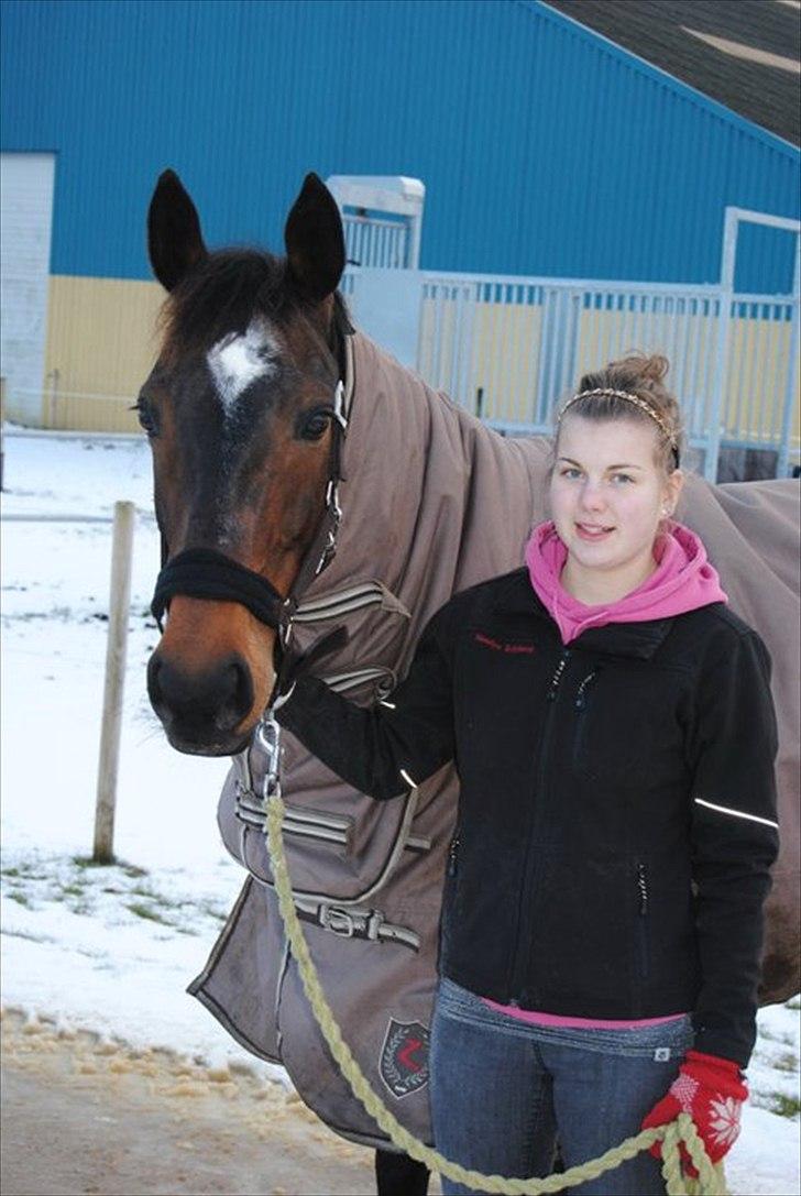 Hollandsk Varmblod Wings - Winge og mig på TS<3 billede 1