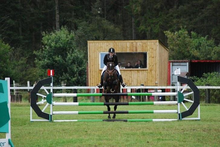 Hollandsk Varmblod Wings - Første stævne, der i en ULC, hvor hun var nul ;* <3 FOTO: Anita Rasmussen billede 9