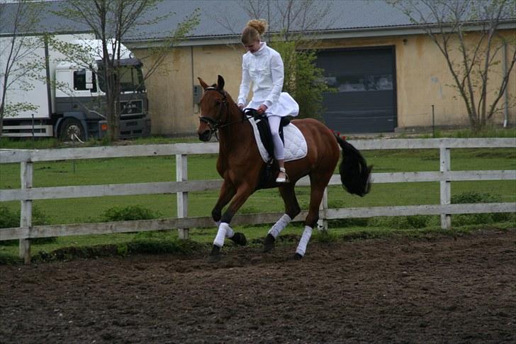 Anden særlig race Cherrie - cherrie til min konf.<333 billede 8