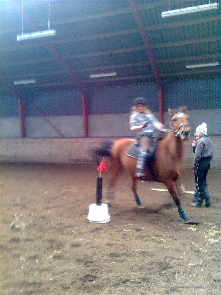 Anden særlig race Lucky<3 - Pony games (: mig og Lucky havde det bare smadder sjovt! (: billede 4
