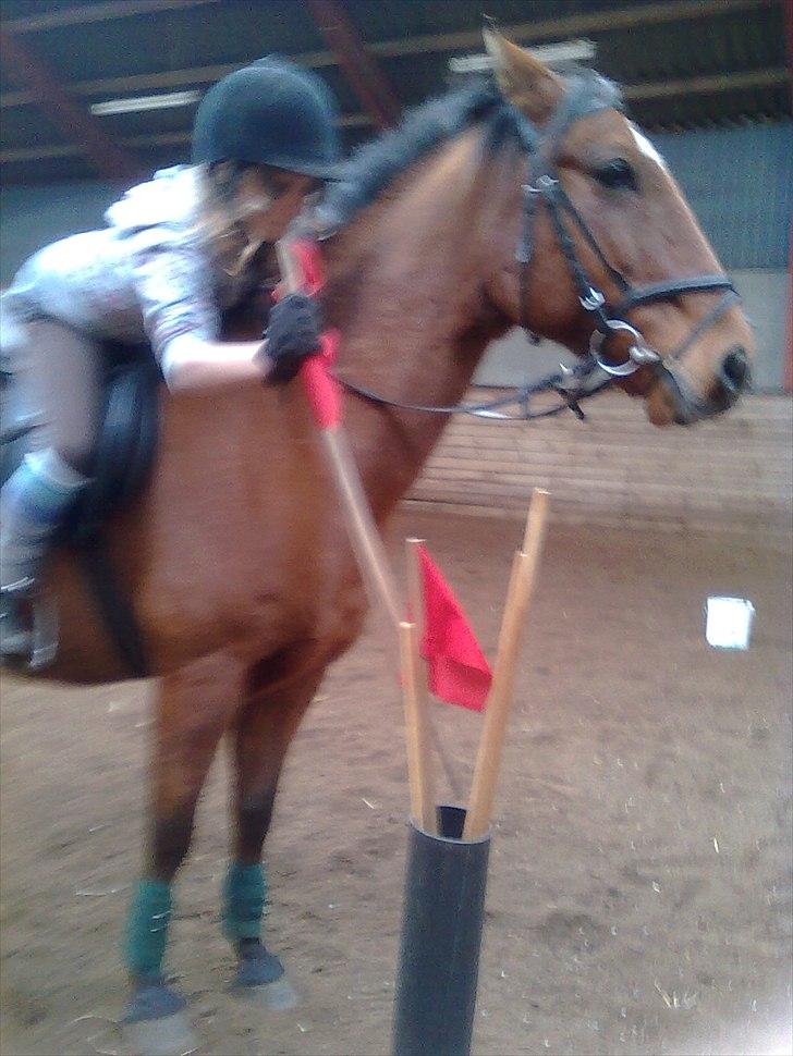 Anden særlig race Lucky<3 - Pony games :0) billede 5