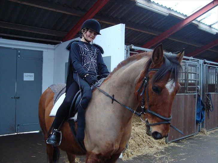 Anden særlig race Lucky<3 - fasterlavns stævne <3<3<3 billede 7