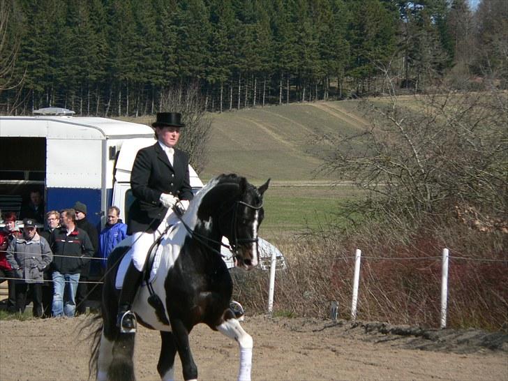 Pinto Mazzaratti billede 3