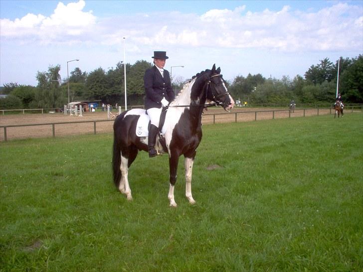 Pinto Mazzaratti billede 4