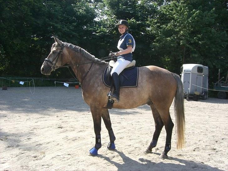 Anden særlig race Milancio S - Distance Dyrehaven 2010 26 km clear round billede 1