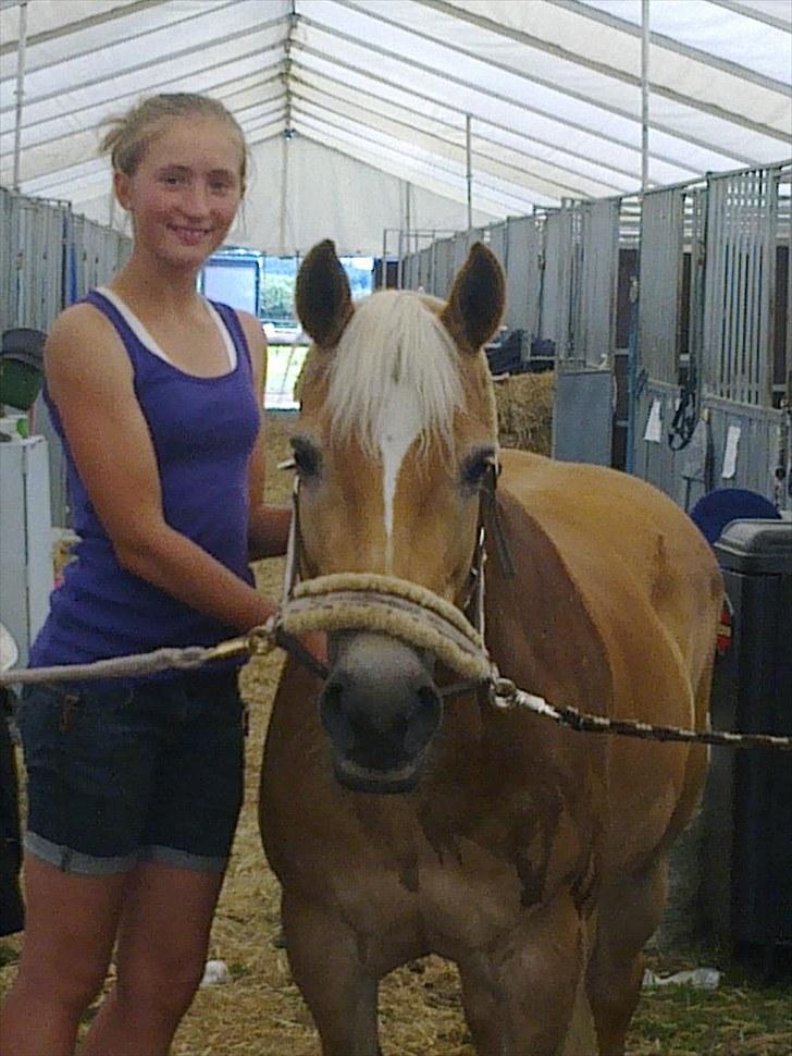 Tyroler Haflinger Elghusets Gipsy:-*' R.I.P - #3# Gipsy min ynglings powni ! ;´d billede 3