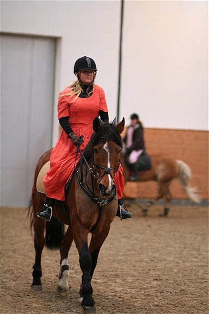 Anden særlig race  Jumping Jack 22(død) billede 18