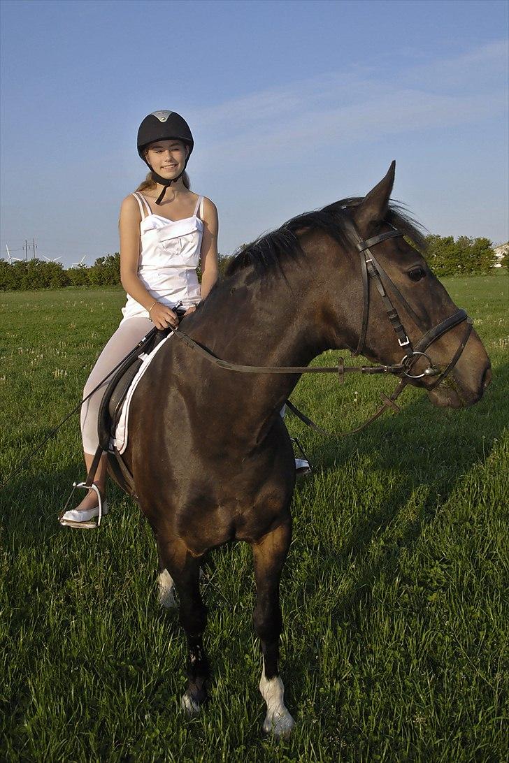 Anden særlig race Aavang's Lucas - Konfirmation 20.5.11 Foto: Haymo billede 4