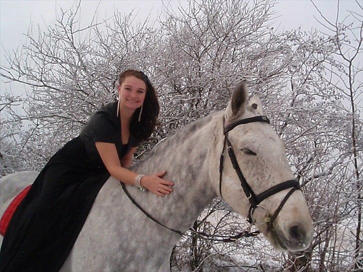 Holstener Contino billede 18