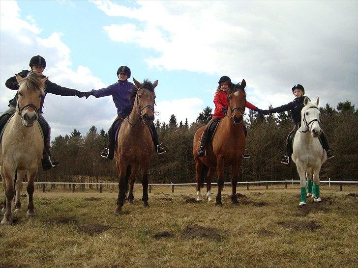 Anden særlig race Lucky<3 - de sejeste piger og ponyer oppe på GRRK´s store bakke billede 9