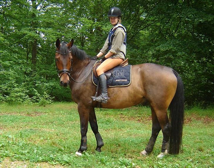 Anden særlig race Rolex - Søndag d.11/7 2010. billede 16