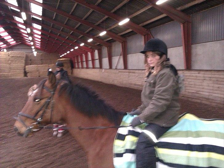 Anden særlig race Lucky<3 - så skridter vi varmt! (: vinteren 2010 billede 10