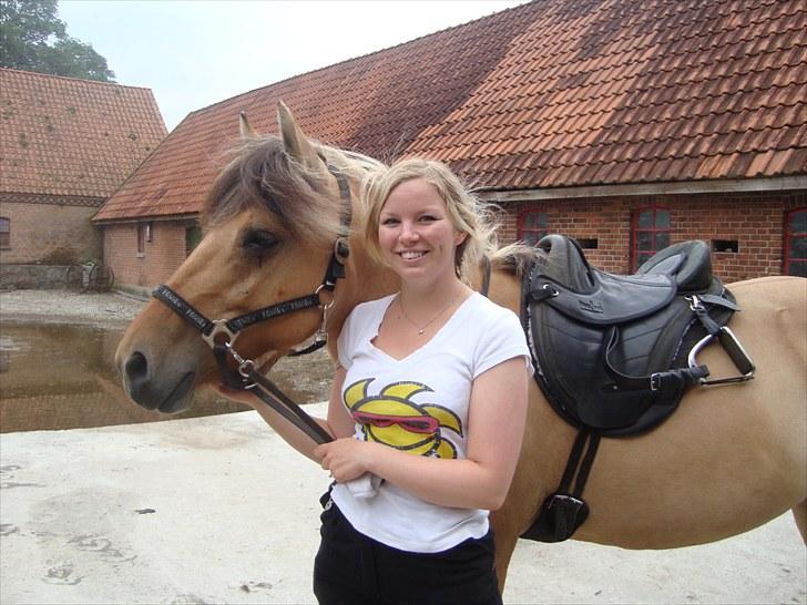 Anden særlig race Tinka - R.I.P. Himmelhest billede 11