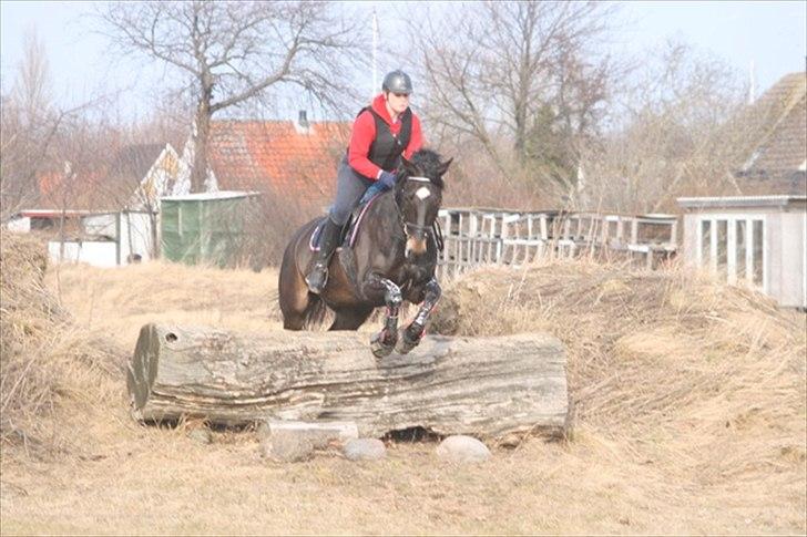 Oldenborg Siegård's flexness - Terræn træning på Nørregård 12/3-2011 ved landstræner Lars Christensson Foto: Morten Fiil billede 6