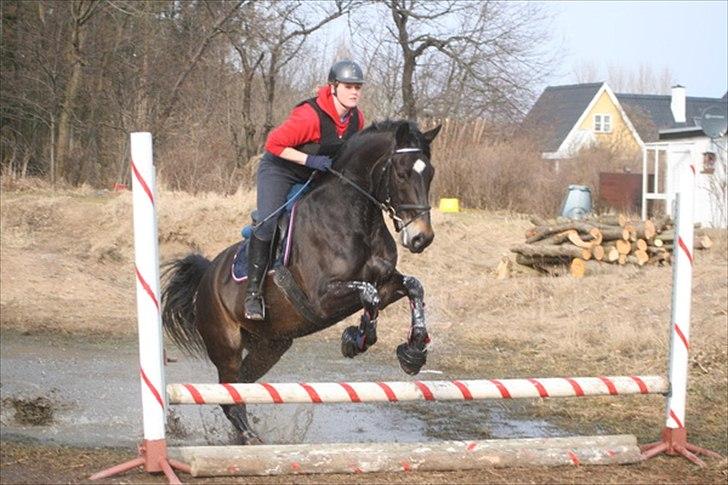 Oldenborg Siegård's flexness - Flexness og jeg til terræn træning ved Lars Christensson. Foto: Morten Fiil billede 7