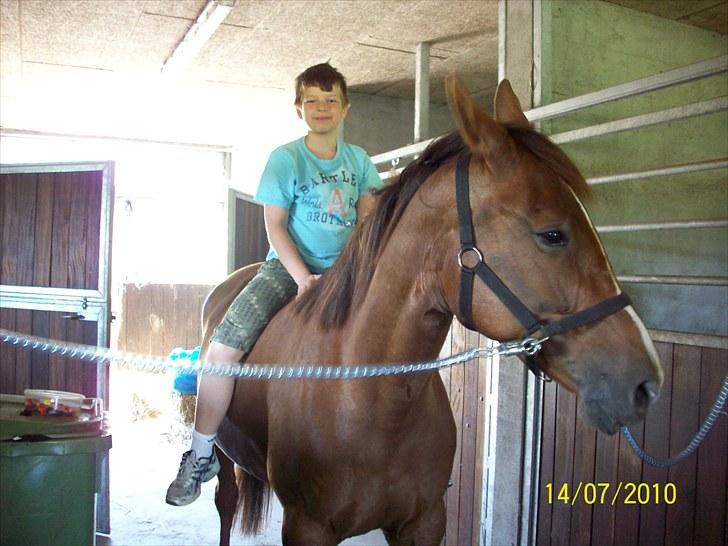 Traver Nete Halbjerg *R.I.P* ;'( - (7) min lillebror og Nete(: - de er så søde!.<3 savner tiden med dig, og det ved jeg min mor og lillebror også gør! :´) vi elsker dig alle så meget stadig skat! <3 du fik en såå stor plads i vores alles hjerte! :´´´´) billede 7