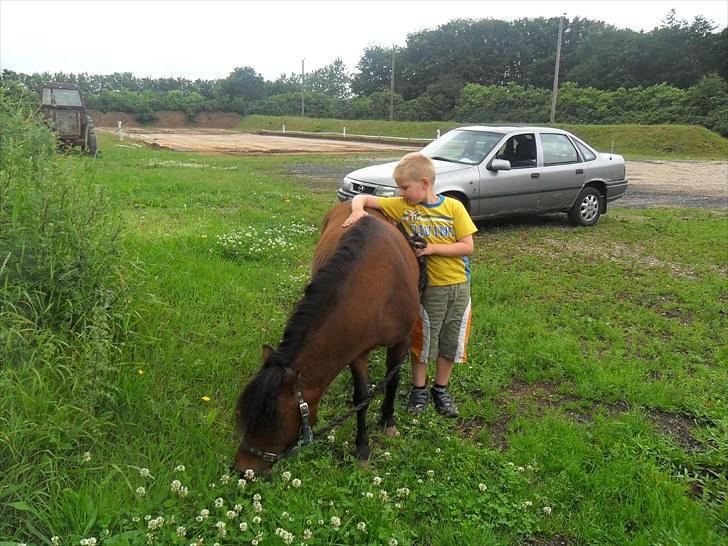 Anden særlig race Mae billede 5