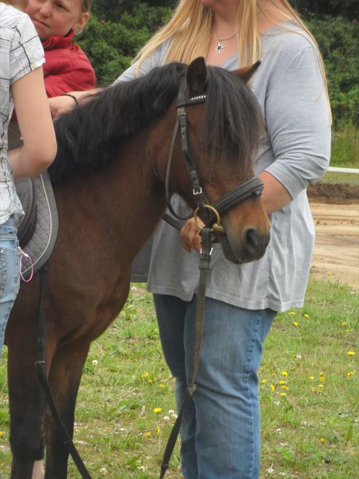 Anden særlig race Mae billede 7